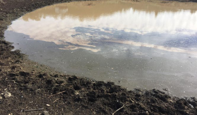 Example of organic matter material and sediment washed into a dam from rainfall runoff. (Source:C.Thompson). 