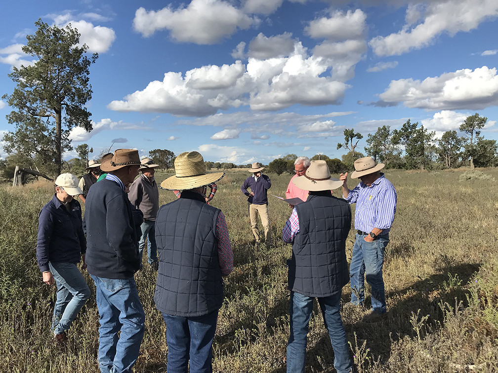 Farmers in paddock