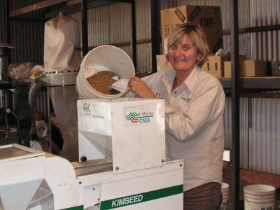 Sue Logie cleaning seed in the old Murray CMA Seedbank at Berrigan