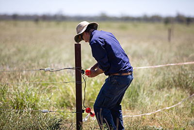 Hickson - Fencing 