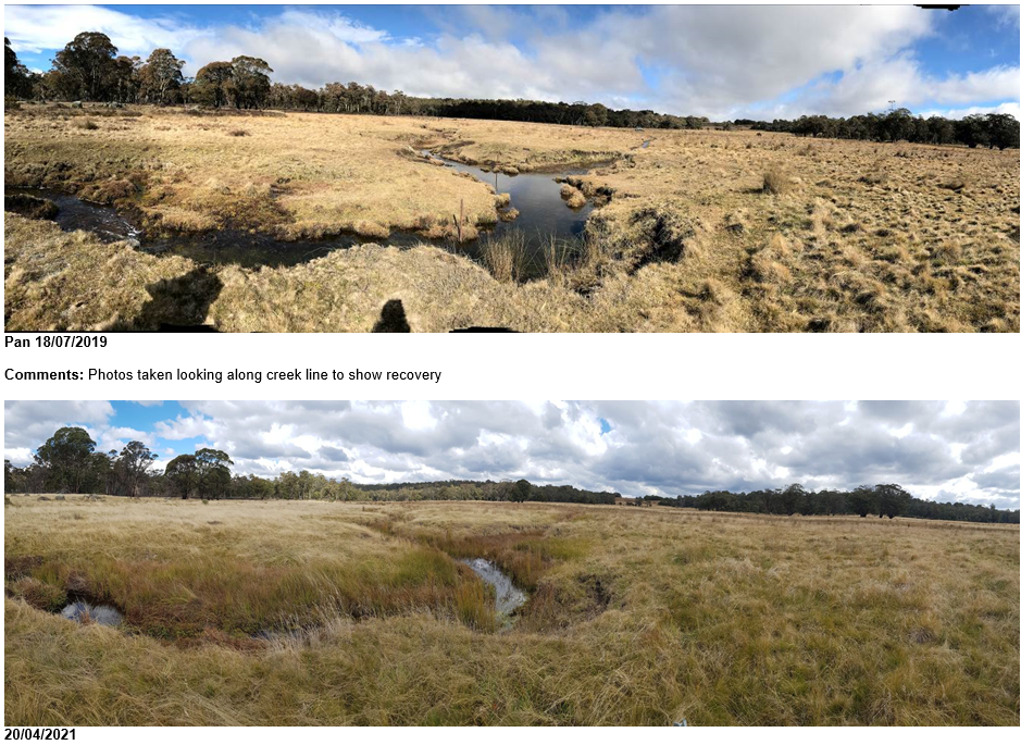 Photo points taken within the fenced project area show an increase in vegetation cover over a 21 month period